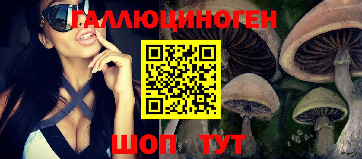 Псилоцибиновые грибы прущие грибы Кореновск