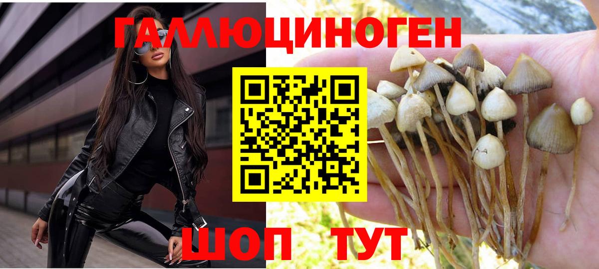 Галлюциногенные грибы прущие грибы  Псилоцибиновые грибы Psilocybe  Вход с VPN  где продают   Кореновск 